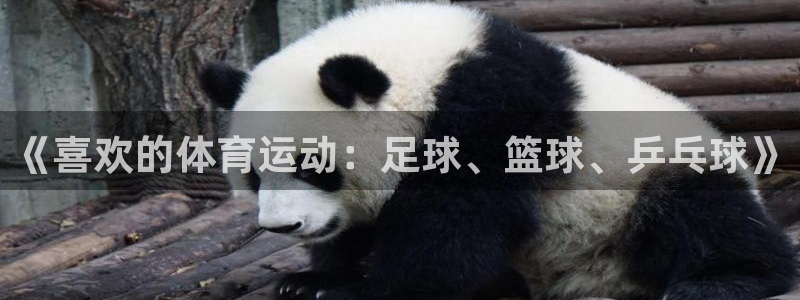 皇冠277体育