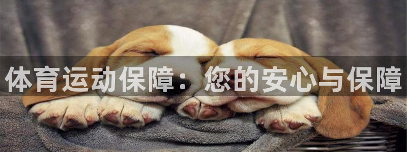 77体育app下载官网：体育运动保障：您的安心与保障