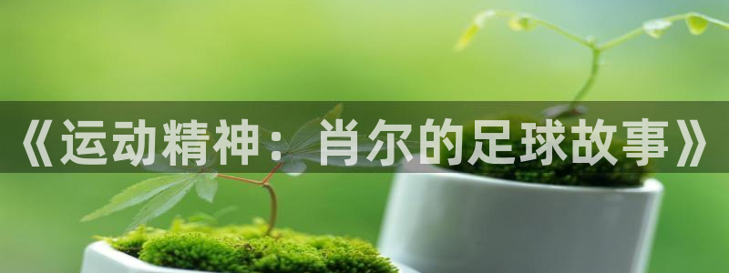 皇冠277体育：《运动精神：肖尔的足球故事》