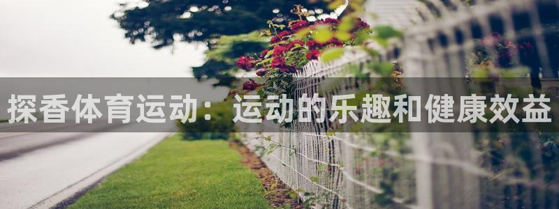 77体育app下载官网