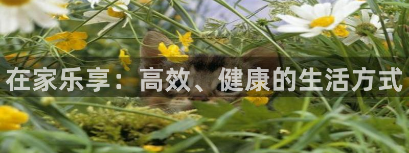 皇冠277体育